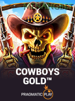 Cowboys Gold game cover