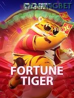 Fortune Tiger game cover